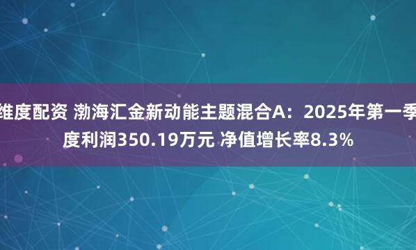 维度配资 渤海汇金新动能主题混合A：2025年第一季度利润350.19万元 净值增长率8.3%