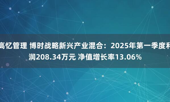 高忆管理 博时战略新兴产业混合：2025年第一季度利润208.34万元 净值增长率13.06%