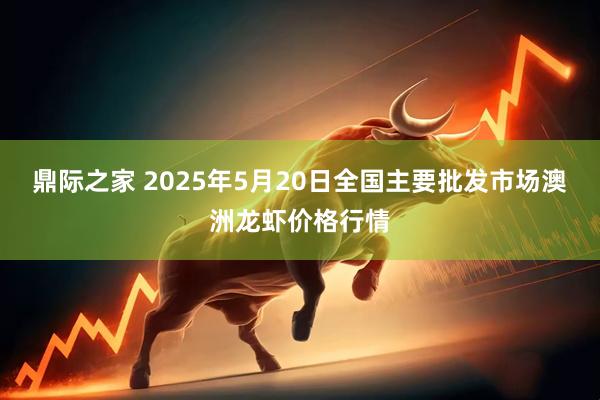 鼎际之家 2025年5月20日全国主要批发市场澳洲龙虾价格行情