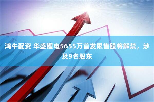 鸿牛配资 华盛锂电5655万首发限售股将解禁，涉及9名股东