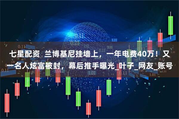 七星配资  兰博基尼挂墙上，一年电费40万！又一名人炫富被封，幕后推手曝光_叶子_网友_账号